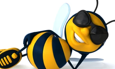 spelling bee buddy