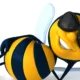 spelling bee buddy