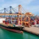 seed exporter
