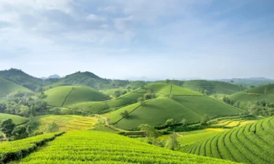 Join the Green Revolution