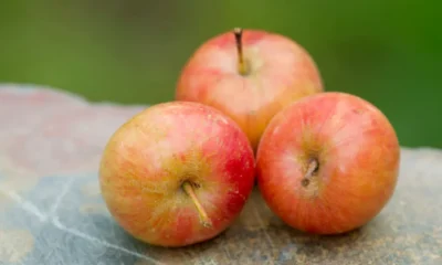 can you eat crab apples