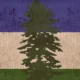 cascadia flag