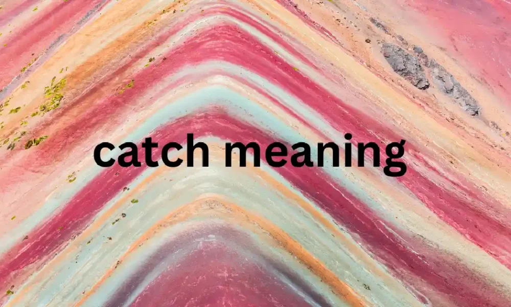 catch meaning