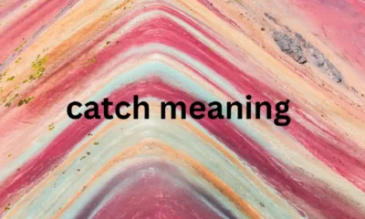 catch meaning