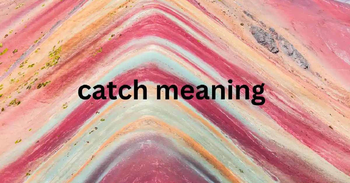 catch meaning