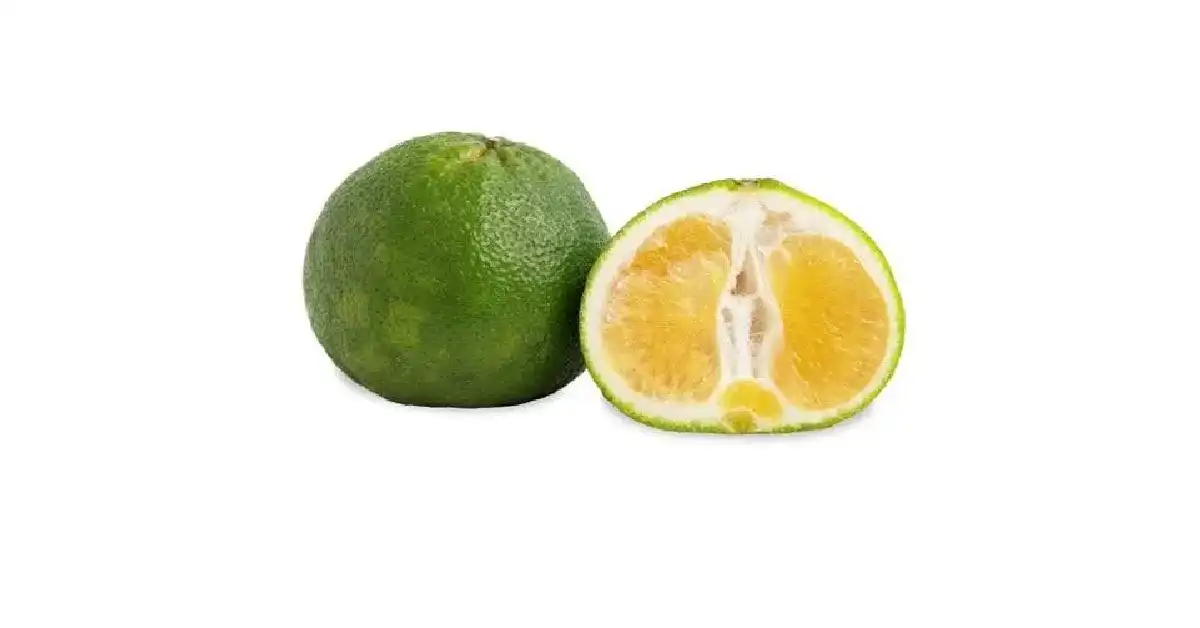 fruit that starts with u
