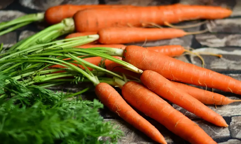 how long to boil carrots