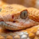 most poisonous snake in the world