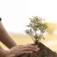 reap is what you sow