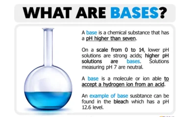 what is a base