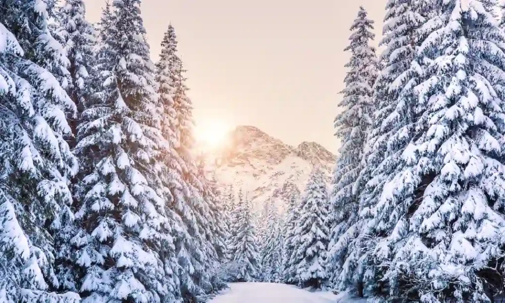 winter is coming