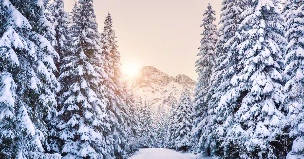 winter is coming