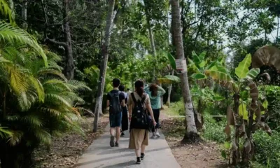 BlueFire Wilderness lawsuit