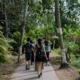 BlueFire Wilderness lawsuit