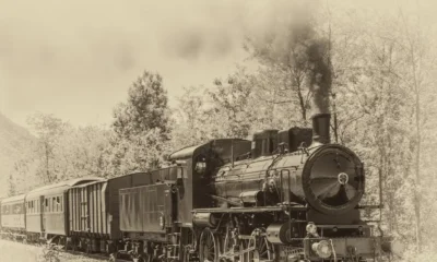 Railment
