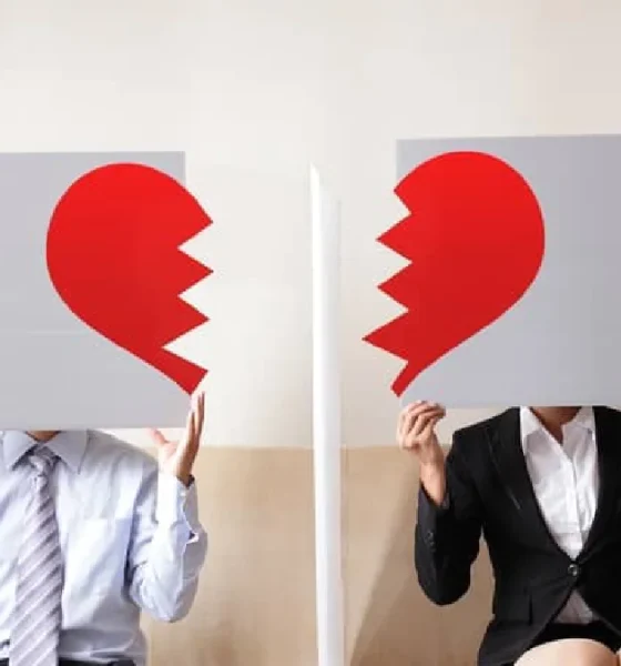 ally Separated vs Divorced